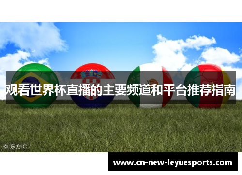 观看世界杯直播的主要频道和平台推荐指南