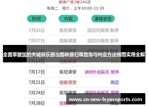 全面掌握加的夫城俱乐部当前联赛归属查询与判定方法指南实用全解