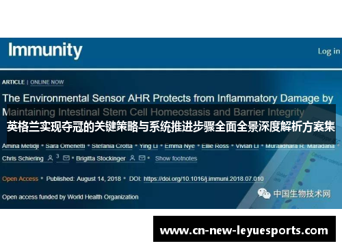 英格兰实现夺冠的关键策略与系统推进步骤全面全景深度解析方案集