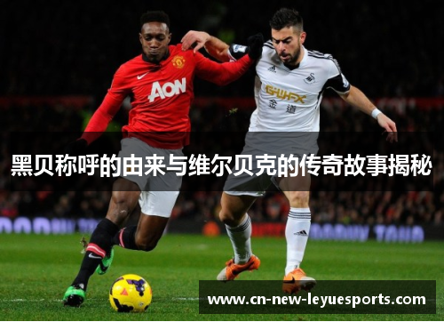 黑贝称呼的由来与维尔贝克的传奇故事揭秘