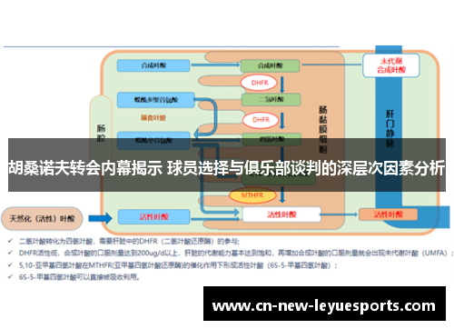 胡桑诺夫转会内幕揭示 球员选择与俱乐部谈判的深层次因素分析