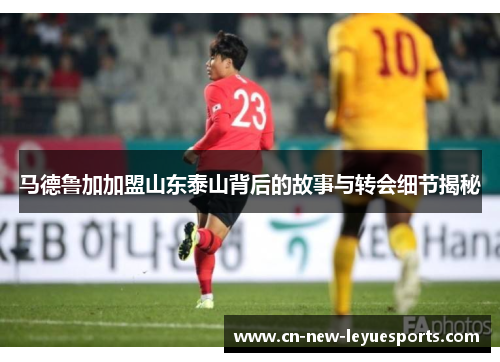 马德鲁加加盟山东泰山背后的故事与转会细节揭秘