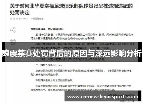 魏震禁赛处罚背后的原因与深远影响分析